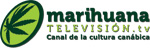 Marihuana TV